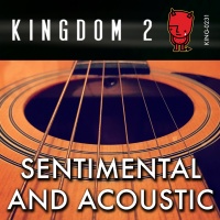 KING-231 Sentimental And Acoustic cover
